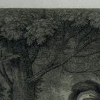 British
Line and Stipple Engraving
42.1 x 48 cm (image); 43 x 58.1 cm (sheet) 
Achenbach Foundation for Graphic Arts
1963.30.20031
Thomas Cheesman