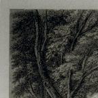 British
Line and Stipple Engraving 
40.8 x 47.6 cm (image); 42.7 x 58 cm (sheet) 
Achenbach Foundation for Graphic Arts
1963.30.19994
Engraver, J. J. Vandenbergh
