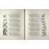 Eric Gill.
Page decoration for Venus and Adonis, on page 32 in the book,